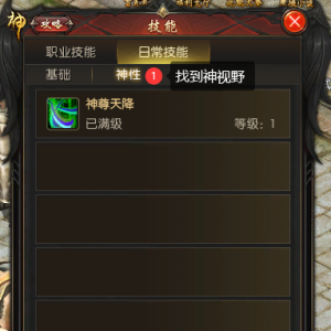 神视野技能学习以及使用